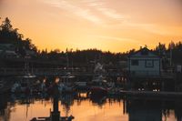 DSC02210.jpg