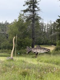 IMG_5697.jpg