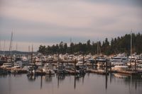 DSC02185.jpg