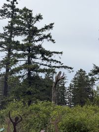 IMG_5696.jpg