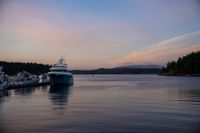 DSC02214.jpg
