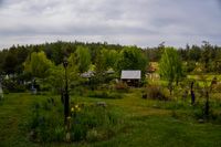 DSC02167.jpg