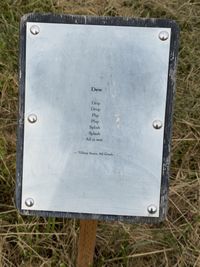 IMG_5689.jpg