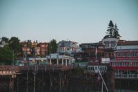 DSC02222.jpg
