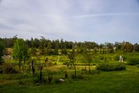DSC02165.jpg