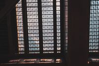 DSC08319.jpg