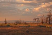 DSC09201.jpg