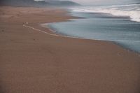 DSC09881.jpg