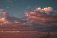 DSC09272.jpg