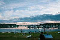 DSC07919.JPG