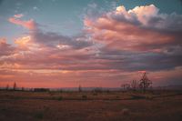 DSC09273.jpg