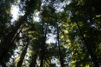 DSC09932.jpg
