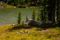 DSC00510.jpg