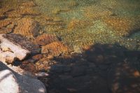 DSC00499.jpg